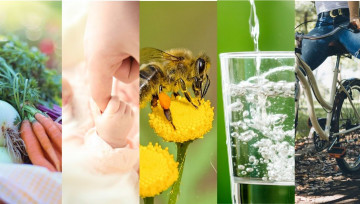 Illustration Santé environnement 