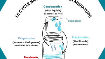 Schéma cycle de l'eau