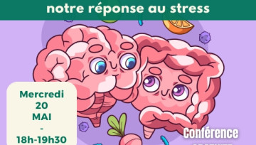 intestin cerveau