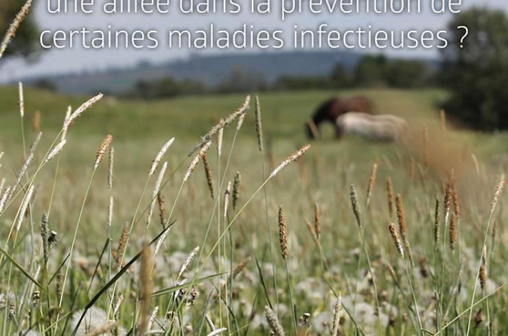 Actes Biodiversité maladies infectieuses