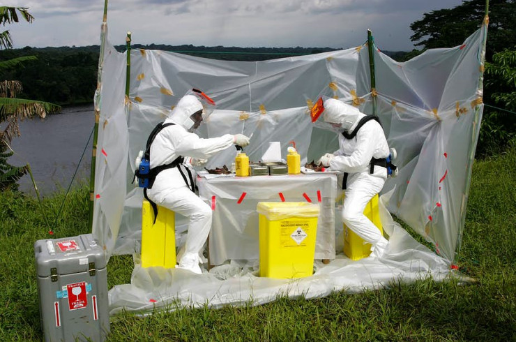 Région de Lambaréné, Gabon : à la recherche du réservoir du virus Ebola
