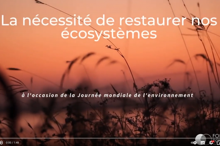 Video nécessité restauration des écosystèmes
