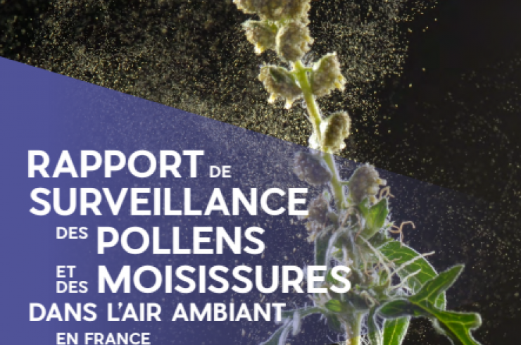 Rapport de surveillance des pollens et des moisissures dans l'air ambiant en France