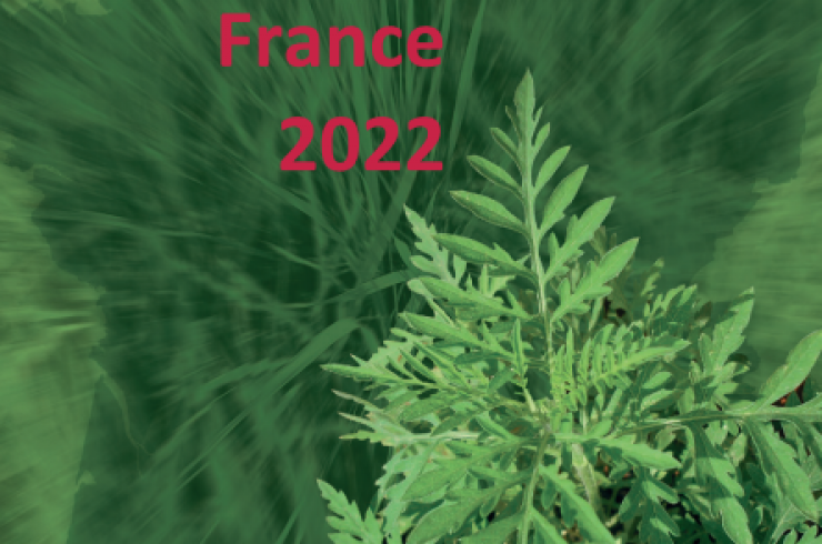 Ambroisie France 2022