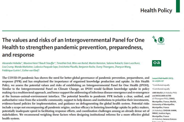The values and risks of an intergovernmental panel for one health