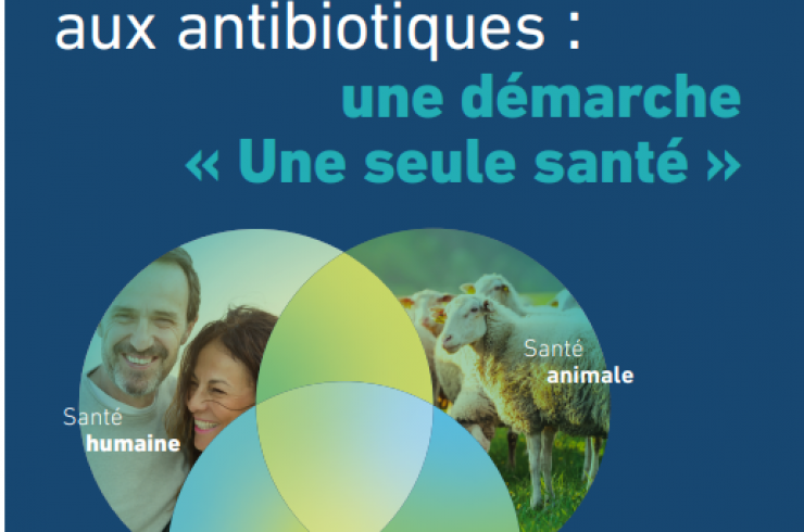 Prévention de la résistance aux antibiotiques : Une démarche "Une seule santé"