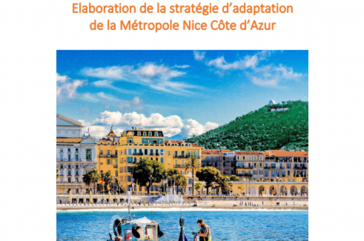 Elaboration de la stratégie d'adaptation de la Métropole Nice Côte d'Azur : Rapport de préconisations