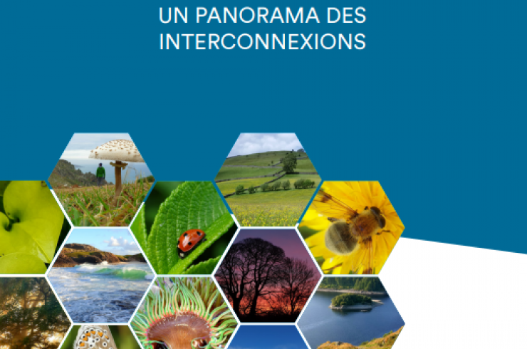 Nature, biodiversité et santé : Un panorama des interconnexions