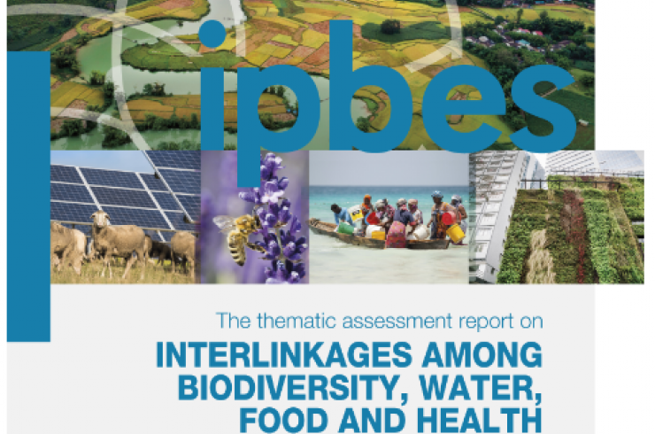 Interlinkages among biodiversity, water, food and health