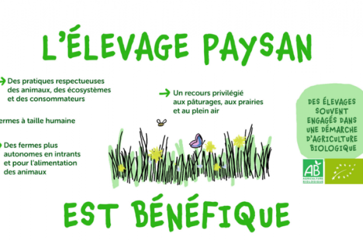 collectif nourrir