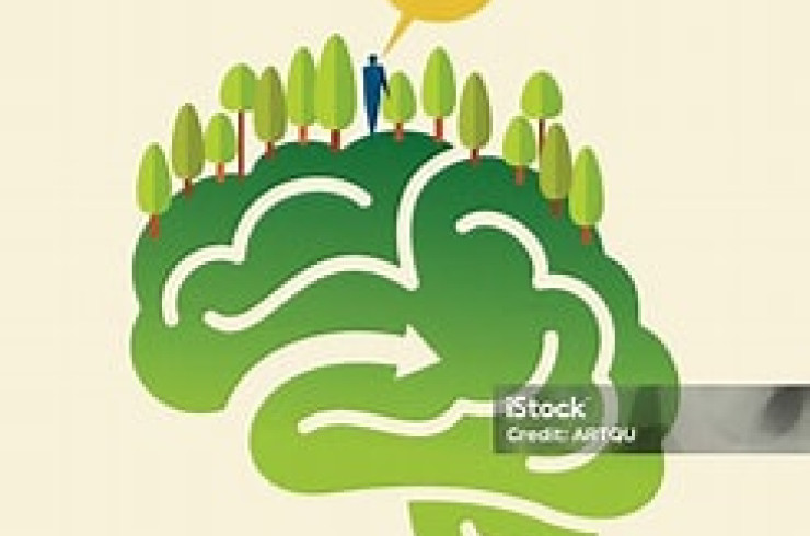 Cerveau et environnement