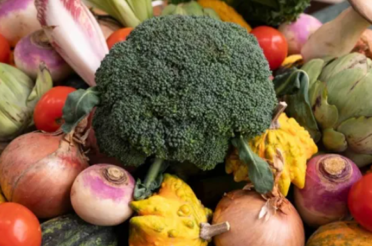 Recommandations alimentaires