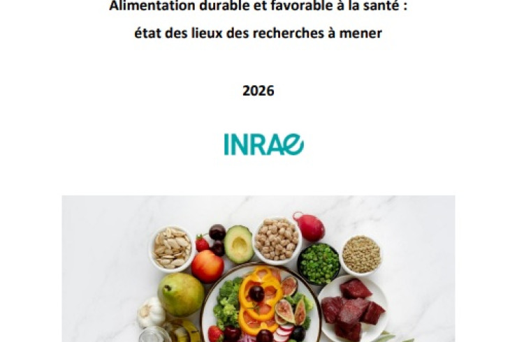 Couverture du rapport