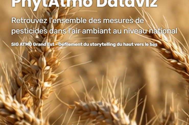 Visuel du site internet