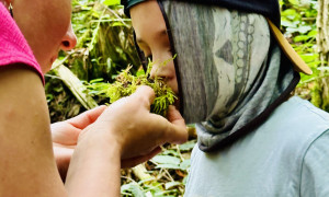 Photo en sortie, sentir les plantes