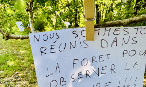 Ecriteau réalisé par les enfants : observation de la nature