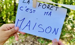 Ecriteau fait par les enfants "La forêt c'est ma maison"