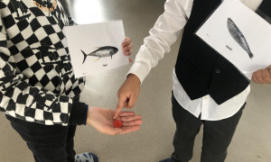 Photo enfants en train de faire le jeu bioaccumulation