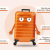 Moustique tigre, tique, chenilles processionnaires