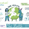 dessin 1 Louise Plantin - One Health - Web4