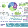dessin 3 Louise Plantin - One Health - Web4